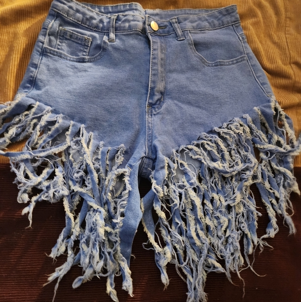 Source Unknown Blue Distressed Fringe Jean Shorts